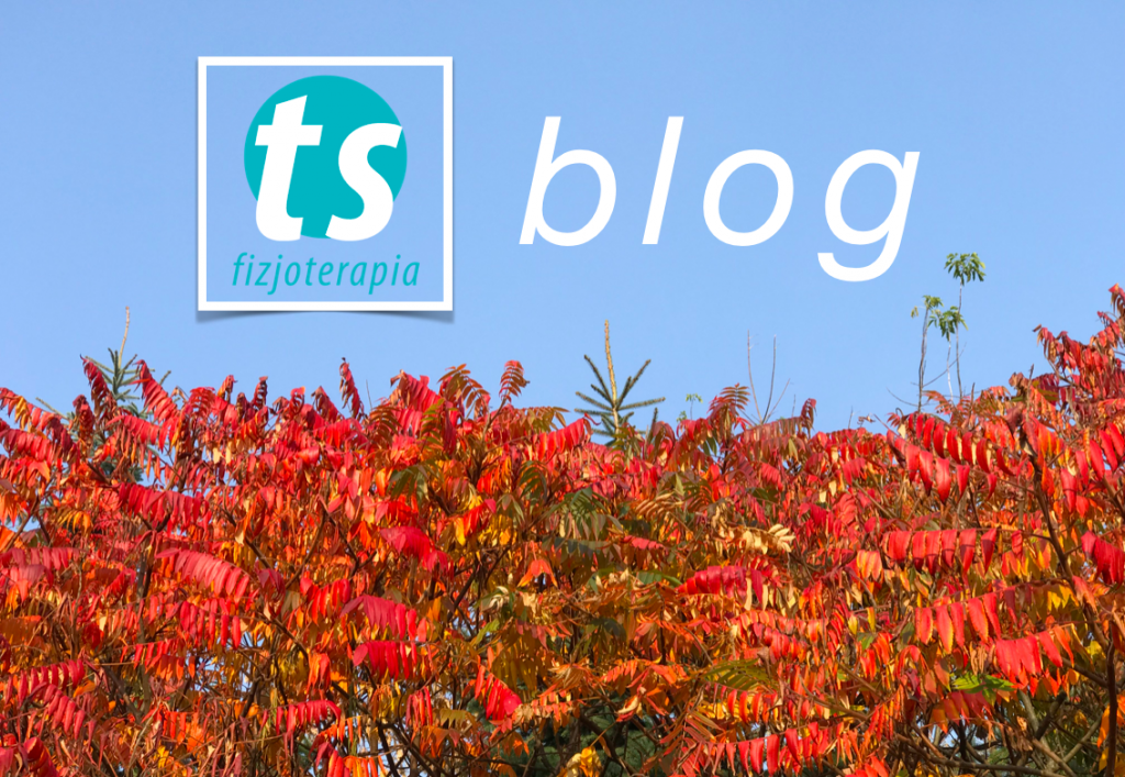 ts blog